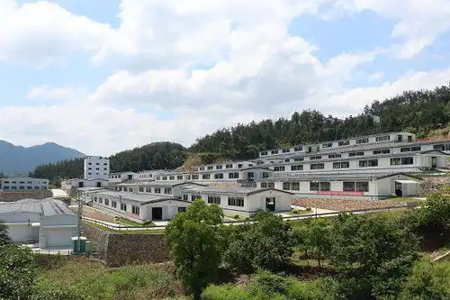 盒马村的又一成功案例,大别山黑山羊全国热销