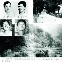 周克华被击毙盘点1949年后中国十大悍匪