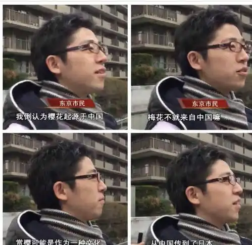 当日本人听说樱花起源于韩国,日本人我倒认为起源于中国
