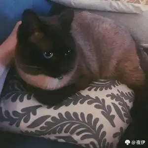 时尚目的地