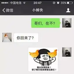 刚从东莞回来,带了两只鸡来孝顺兄弟们