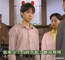 书桓你后面太出戏了