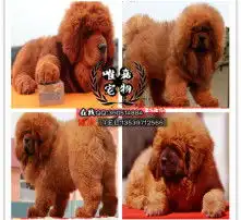 黄页88高清图片