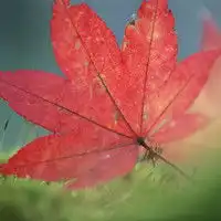 微信如何更换自己的头像