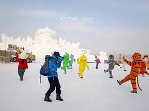 哈尔滨雪乡5天4夜冰天雪地之旅