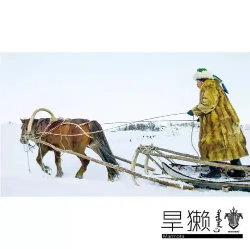 国内最好听的20张世界音乐专辑,全在这里了
