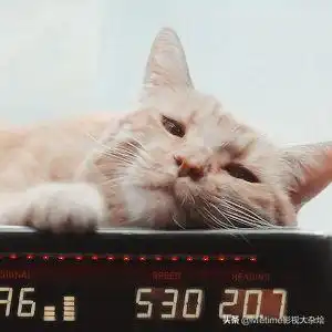 测试一个超长简介的文章