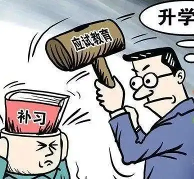 新西兰未来精英中学插班团这个暑假,让熊孩子爱上学习