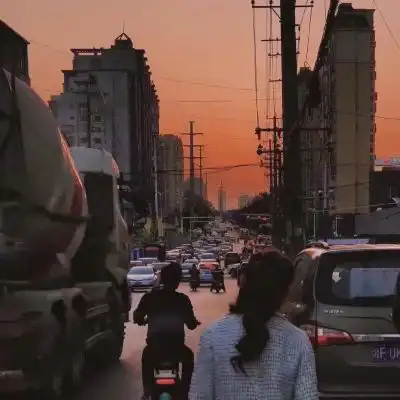 家居静物头像