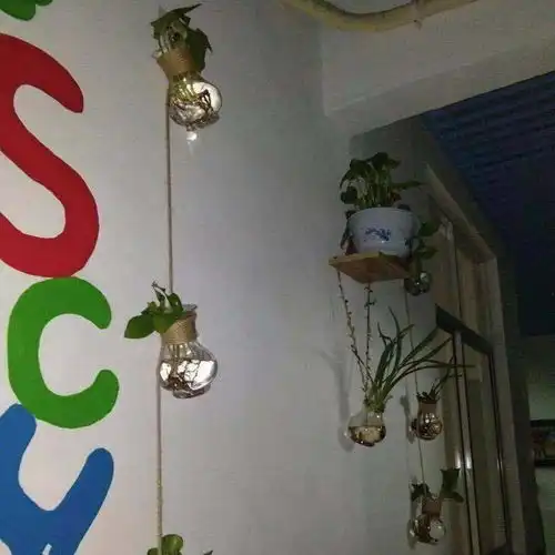 加厚款塑料水培植物花瓶风信子绿萝铜钱草富贵竹水培瓶种球水培瓶