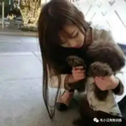 二哈发情对同伴不感兴趣,却对人咦,你这人咋这么污