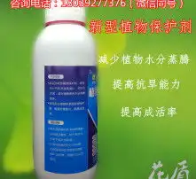 黄页88高清图片