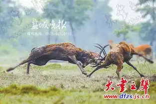 大丰70岁摄影家杨国美摘得江苏摄影奖