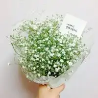 满天星头像图片