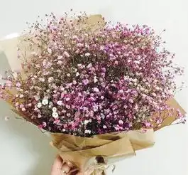 人,为什么会变心萌宝大赛