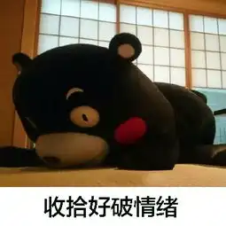 熊的qq表情包