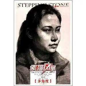 敲门砖素描风暴系列美术丛书素描风暴