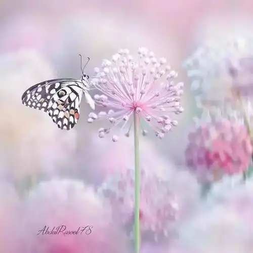 写进心窝的经典句子,句句走心