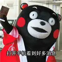 搞笑版熊本熊可爱表情包感觉就像是一直被牵挂着