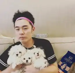 测试一个超长简介的文章