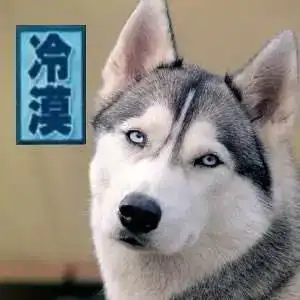 阿尔法狼伴归途美哭少年和狼的史前冰川冒险