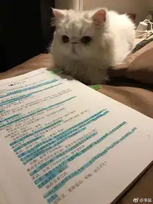 范冰冰发博暗示李晨粘人粘到爆,待冰冰如稀世珍宝一般