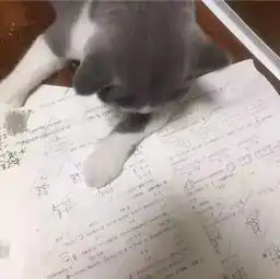 裤子部位定义公式