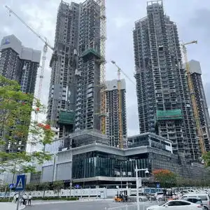 开盘就卖光了116套房卖了26.9亿元,这个一线城市有豪宅项目遭疯抢