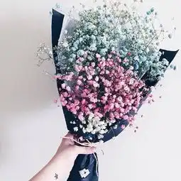 测试一个超长简介的文章