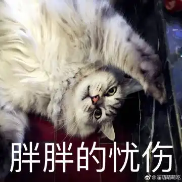 jpg图片在保存的时候不小心换成一样的名字替换了别的图片怎么找回