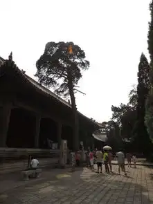 曲阜泰山台儿庄三日游超多美图