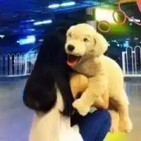 怎敢奢求你将我放入心