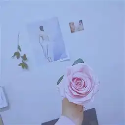 套图头像反正就是要开开心心的