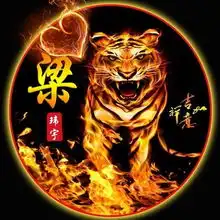 虎啸狮吼,霸气火焰姓氏头像16款,燃烧你的热情