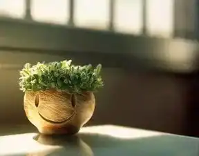 美好的一天从这9件事开始