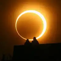 最新的创意十足的个性头像夕阳落日余晖头像图片浏览