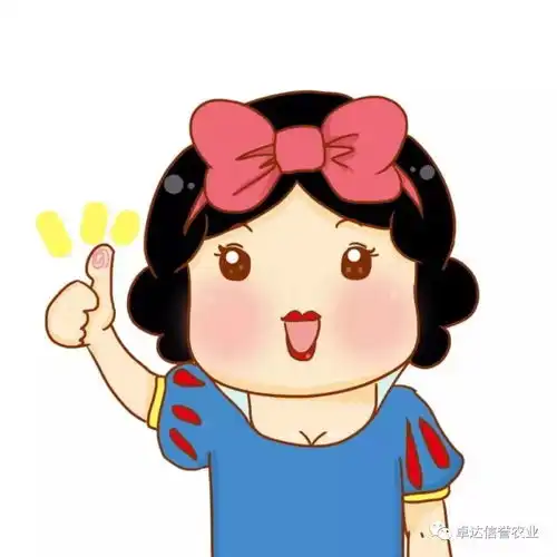 卓达农业社区行系列活动隆重开幕
