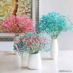 过年就养5种花,插在瓶子里养1个冬天,加点水就一直开花