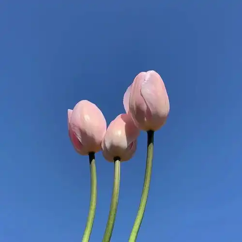 爱之初,是你本身的样子