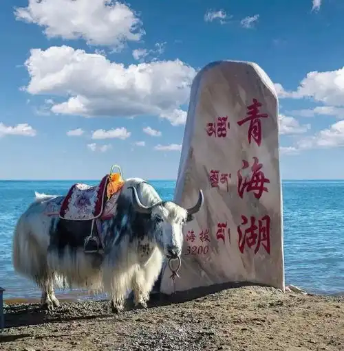 2月去旅游,请发一种很新的朋友圈
