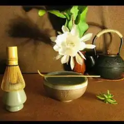 人生最美是清欢抹茶的美学