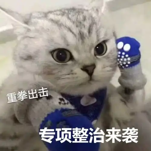 妈妈给俩孩子各养一只猫,谁成绩好谁的猫就能吃罐头,网友我也要为猫猫罐头而读书