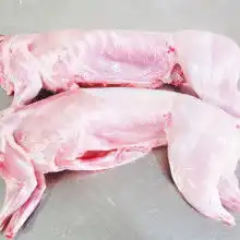 黄页88网