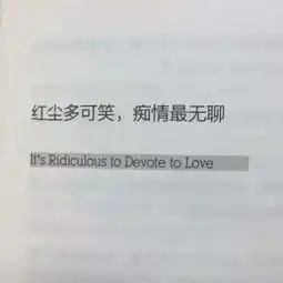 测试一个超长简介的文章