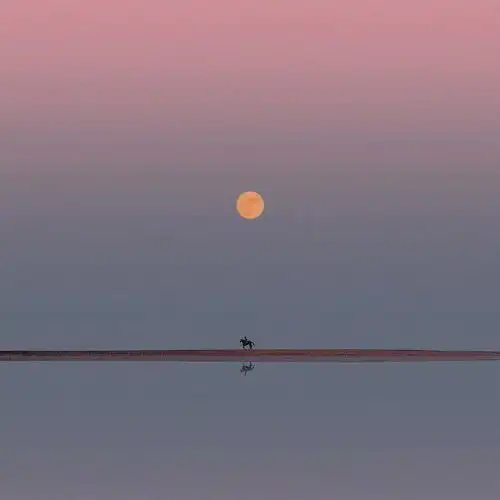 测试一个超长简介的文章
