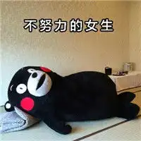 最新版黑鸡汤熊本熊微信带字表情包努力的女生会有