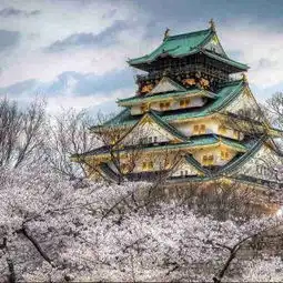 大阪大阪城公园攻略,大阪城公园undefined门票游玩攻略地址图片门票价格