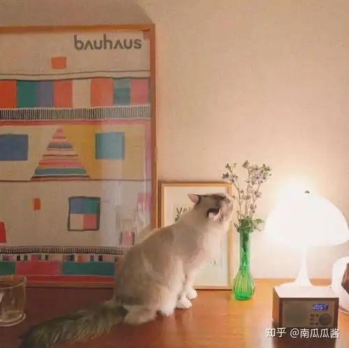 朋友圈温柔背景图