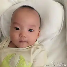 范玮琪晒双胞胎儿子萌照兄弟俩表情逗趣可爱十足