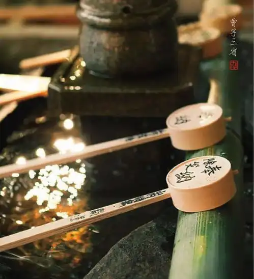测试一个超长简介的文章